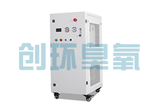 朝阳石斑鱼养殖水质调控完整指南:臭氧发生器配置与操作步骤