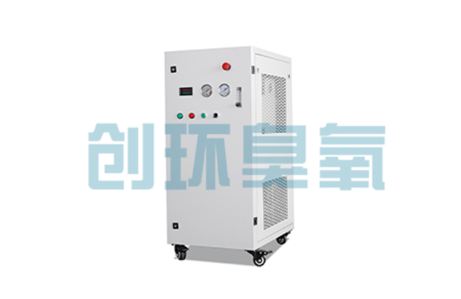 朝阳比传统换水更高效?臭氧发生器在石斑鱼养殖中的水质净化原理解析